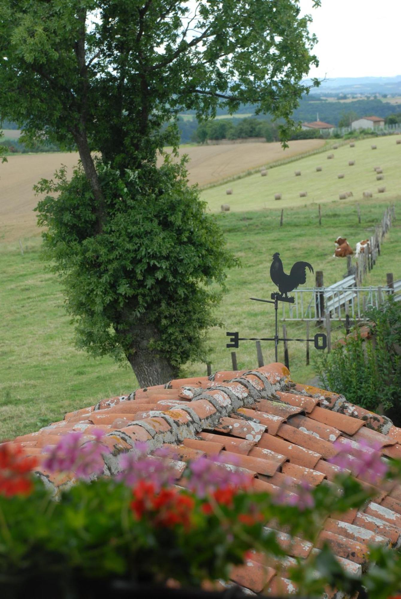 Chez Jacotte Et Elia Bed & Breakfast Saint-Galmier Dış mekan fotoğraf