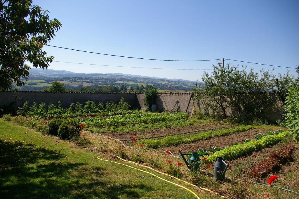 Chez Jacotte Et Elia Bed & Breakfast Saint-Galmier Dış mekan fotoğraf