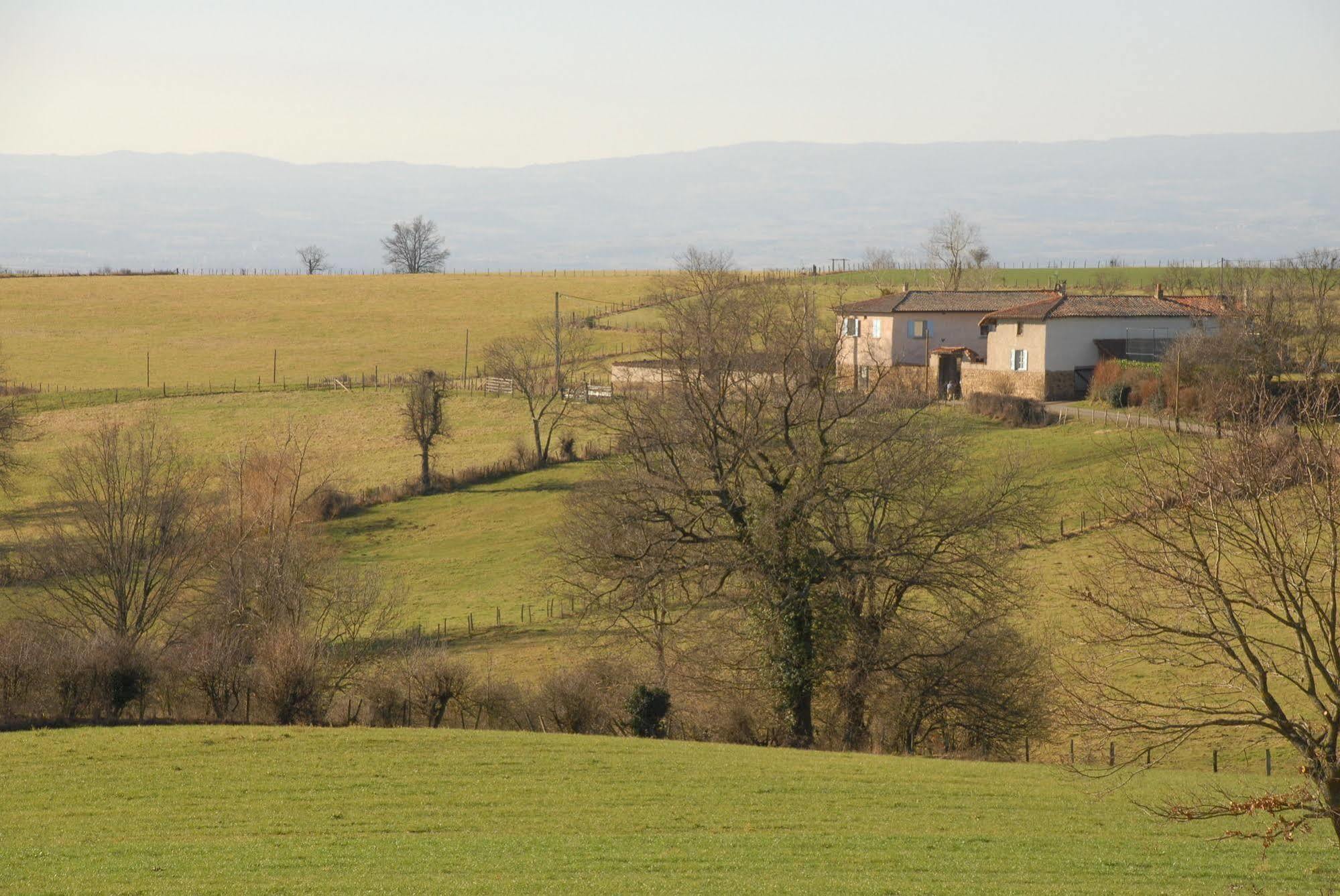 Chez Jacotte Et Elia Bed & Breakfast Saint-Galmier Dış mekan fotoğraf